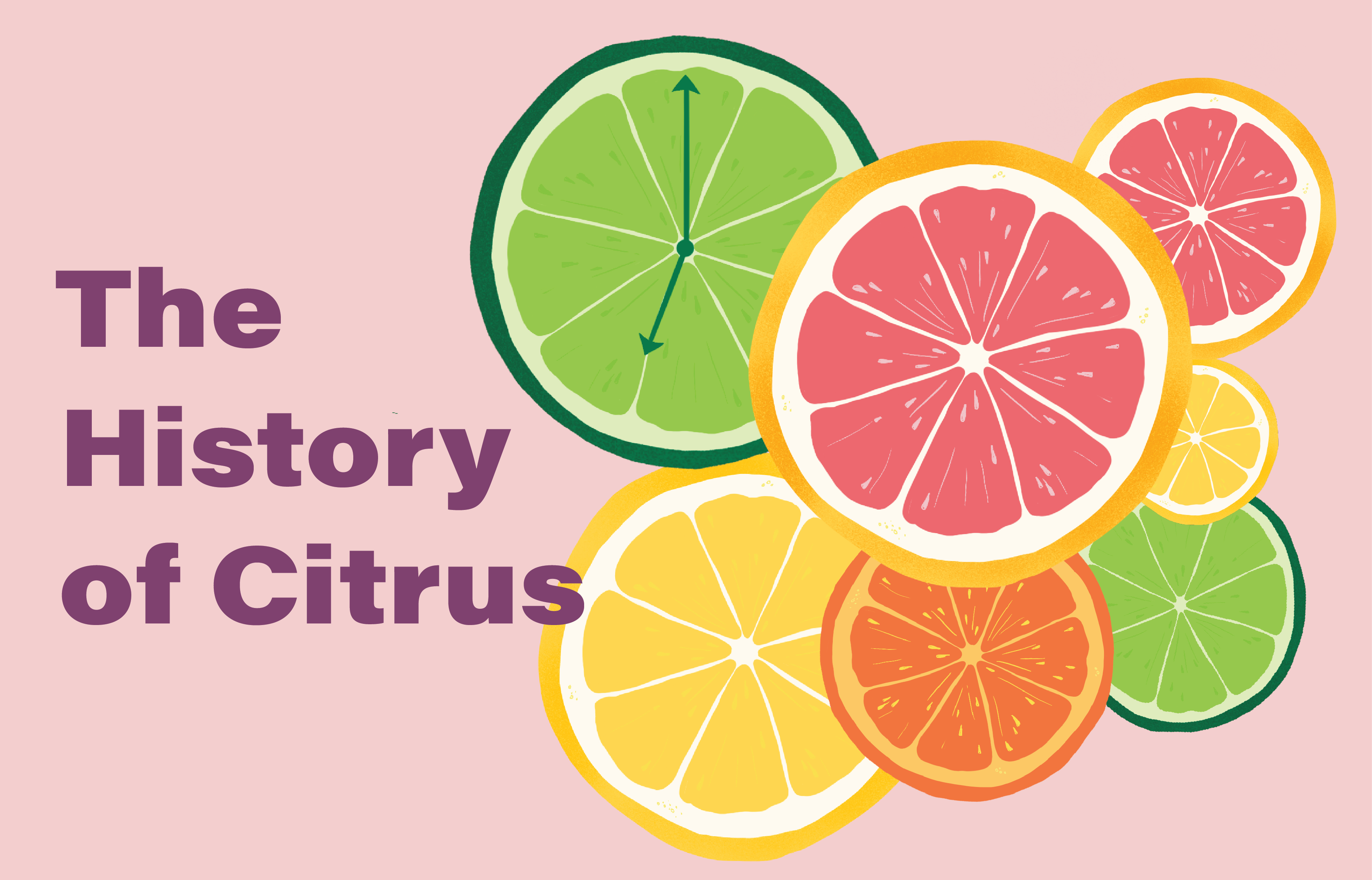 Citrus fruit origins